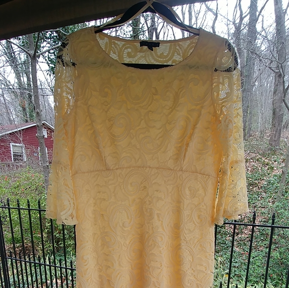 Lacy little yellow dress! - Picture 4 of 11
